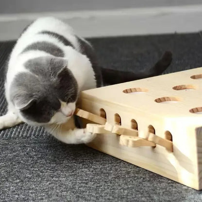 Pawarmour™ Cat Hunt Puzzle Toy